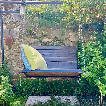 Panoramic Nest In *