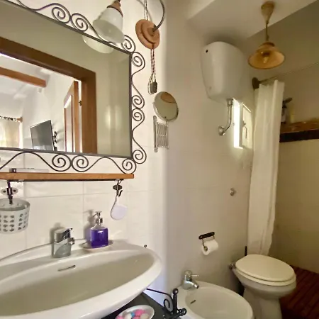 Panoramic Nest In