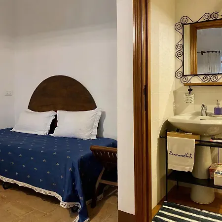 Panoramic Nest In