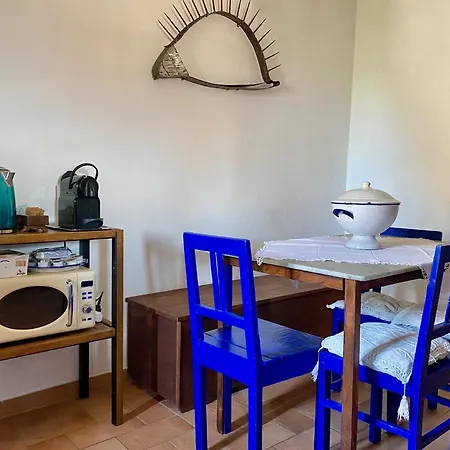 Panoramic Nest In *