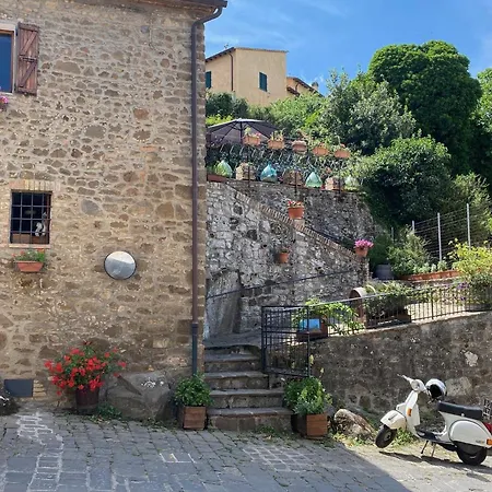 Panoramic Nest In
