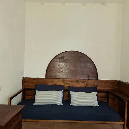 Panoramic Nest In *